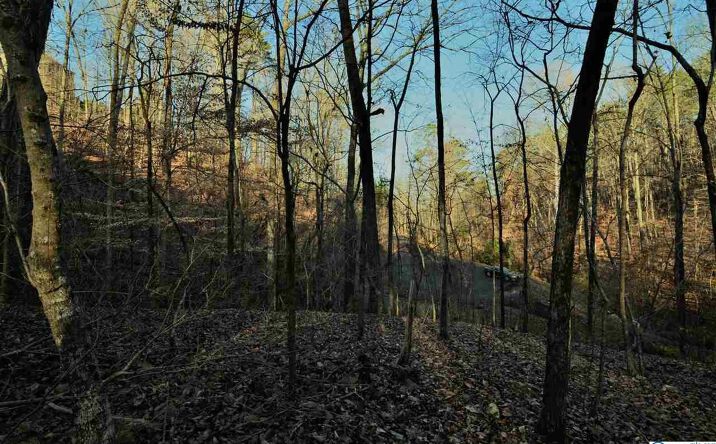 Pictures of Land property located at 5 northwood trail, Gadsden, AL 35901 for sales - image #1