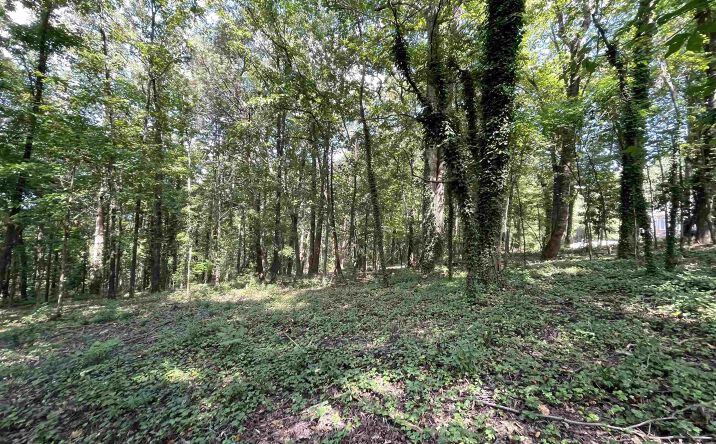 Pictures of Land property located at 11 camille circle, Gadsden, AL 35901 for sales - image #1