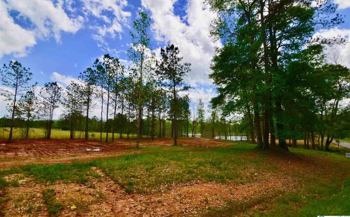 Pictures of Land property located at Lot 2 CHURCH, CIRCLE Gadsden, AL 35901 for sales - image #1