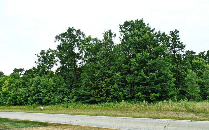 Pictures of Land property located at Forest Gate Ct, Grand Blanc, MI 48439 for sales - image #1