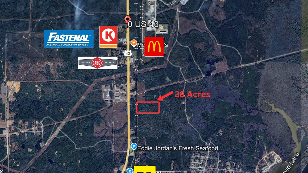 Pictures of Land property located at US-43, Mount Vernon, AL 36560 for sales - image #1