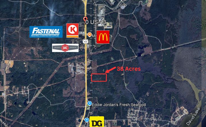 Pictures of Land property located at US-43, Mount Vernon, AL 36560 for sales - image #1