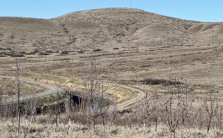 Pictures of Land property located at Address 5461 Yakima Valley Highway, Wapato, WA 98951 for sales - image #1