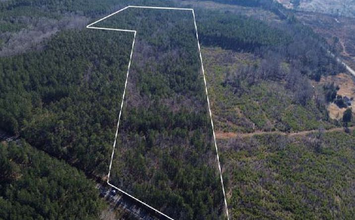 Pictures of Land property located at Fairview Church Road, Union, SC 29379 for sales - image #1