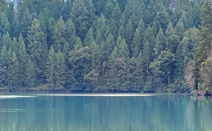 Pictures of Land property located at 17871 Rollins View Drive, Grass Valley, CA 95945 for sales - image #1