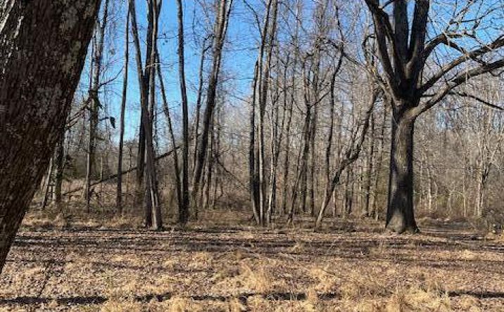 Pictures of Land, Multifamily, Special Purpose property located at 0 Sloan Road, Springville, TN 38256 for sales - image #1