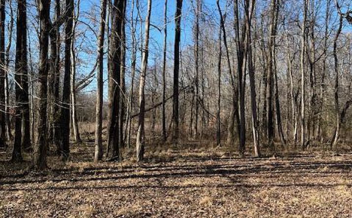 Pictures of Land, Multifamily, Special Purpose property located at 0 Sloan Road, Springville, TN 38256 for sales - image #1