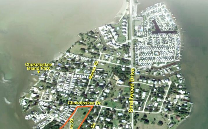 Pictures of Land property located at 318 Mamie St, Ochopee, FL 34141 for sales - image #1