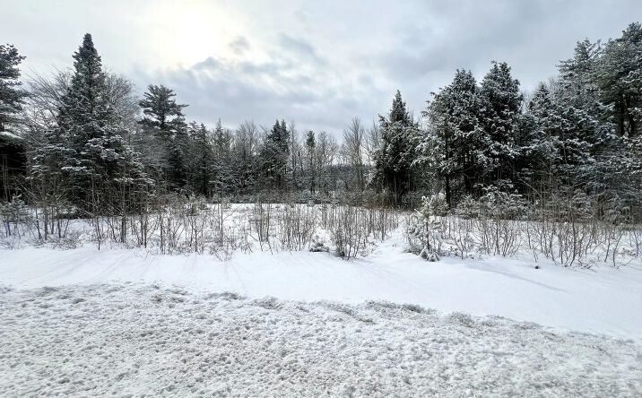 Pictures of Land property located at 928 Eastman Road, Conway, NH 03813 for sales - image #1