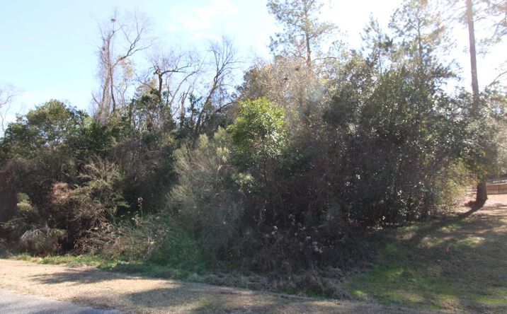Pictures of Land property located at 000 Tanglewood Drive, Moultrie, GA 31768 for sales - image #1