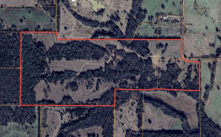 Pictures of Land property located at Co Rd 4315, Cookville, TX undefined for sales - image #1