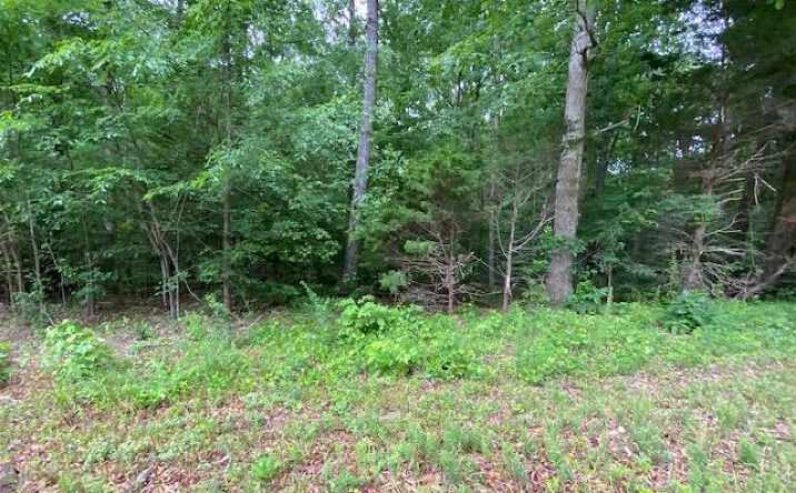 Pictures of Land property located at 0 Red Bud Circle, Big Sandy, TN 38221 for sales - image #1