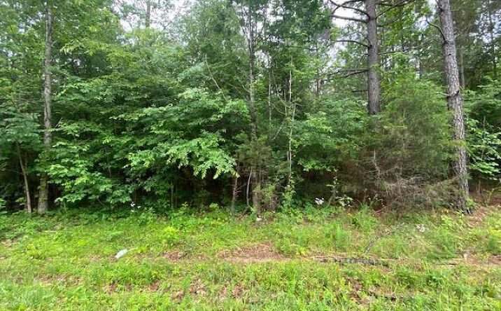 Pictures of Land property located at 00 Red Bud Circle, Big Sandy, TN 38221 for sales - image #1