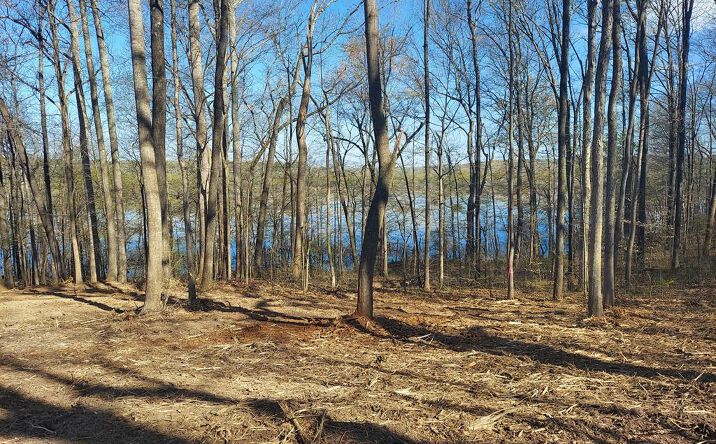 Pictures of Land property located at 0 Elkhorn, Springville, TN 38256 for sales - image #1
