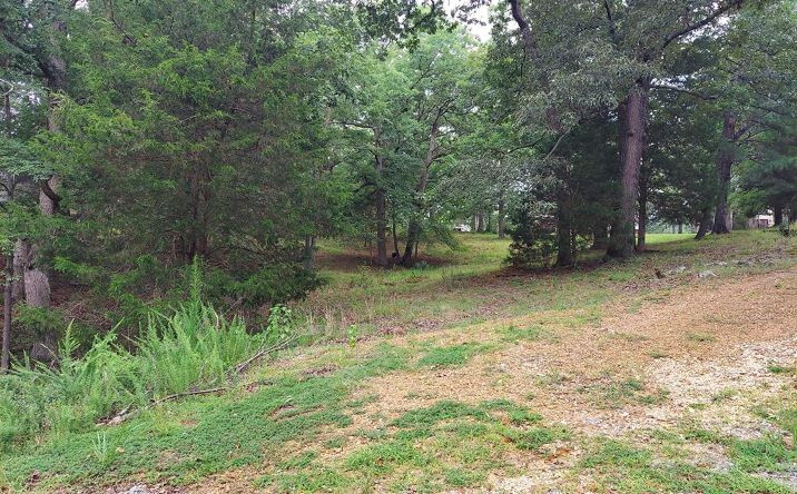Pictures of Land property located at 00 Valley Drive, Springville, TN 38256 for sales - image #1