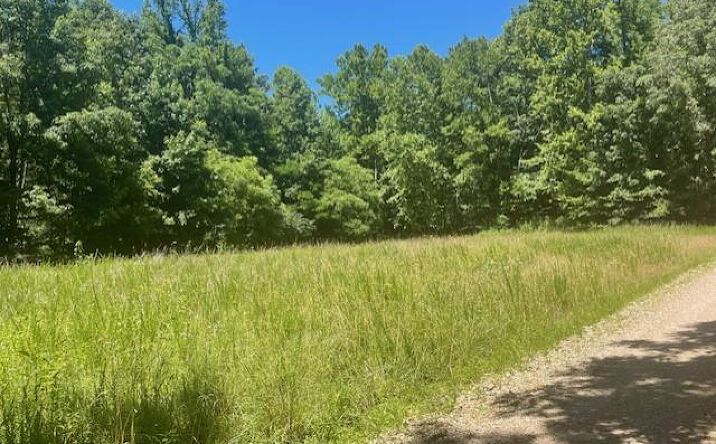 Pictures of Land property located at 5597 Harmon Creek Rd, Eva, TN 38333 for sales - image #1