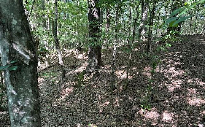Pictures of Land property located at 00 Cummins Rd/Eva Harbor Rd, Eva, TN 38333 for sales - image #1