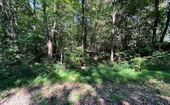 Pictures of Land property located at 0 Cummins Rd/Eva Harbor Rd, Eva, TN 38333 for sales - image #1