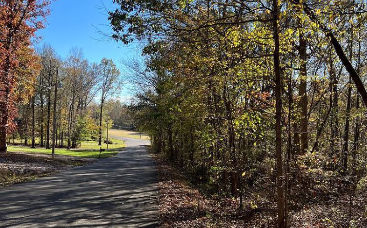 Pictures of Land, Multifamily property located at 0 Forest Drive, Paris, TN 38242 for sales - image #1