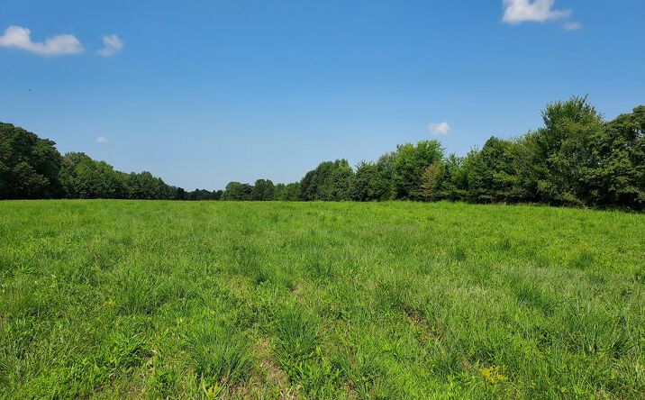 Pictures of Land, Multifamily property located at 0 Sulphur Creek Rd, Big Sandy, TN 38221 for sales - image #1
