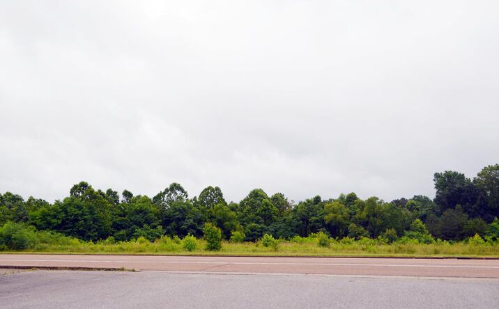 Pictures of Land property located at 000 Tyson Ave. Hwy 79s., Paris, TN 38242 for sales - image #1