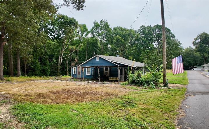 Pictures of Land property located at 0 Tennessee Ave., Springville, TN 38256 for sales - image #1