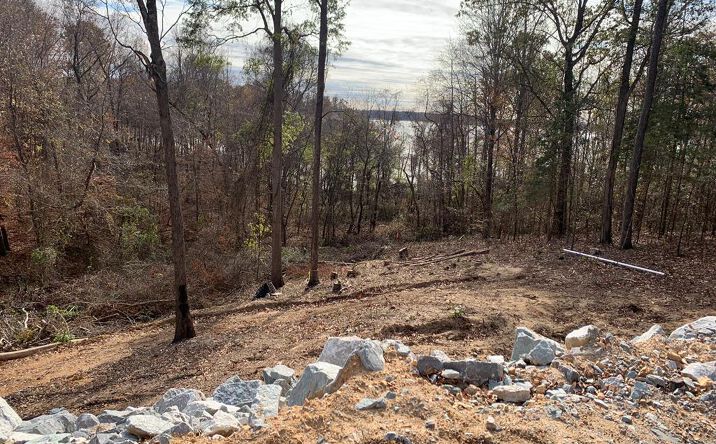 Pictures of Land, Multifamily property located at Branch Loop Rd, Big Sandy, TN 38221 for sales - image #1