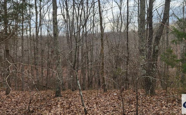Pictures of Land property located at 00000 Birdsong Rd, Holladay, TN 38341 for sales - image #1