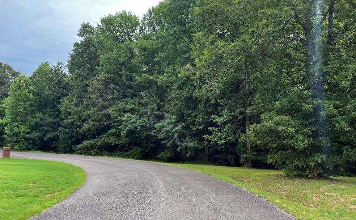 Pictures of Land property located at 000 Castleton Cove, Paris, TN 38242 for sales - image #1