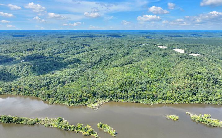Pictures of Land property located at E Ward Hill Rd, Holladay, TN 38341 for sales - image #1