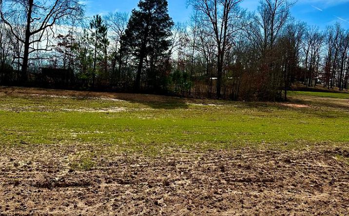 Pictures of Land, Multifamily property located at Lot 11 Abby Lane, Huntingdon, TN 38344 for sales - image #1