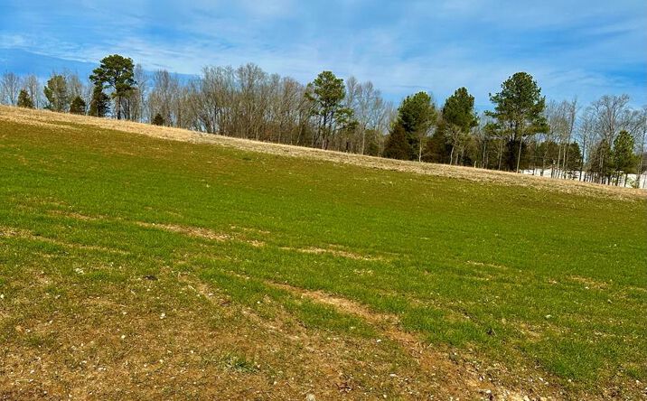 Pictures of Land, Multifamily property located at Lot 15 Abby Lane, Huntingdon, TN 38344 for sales - image #1
