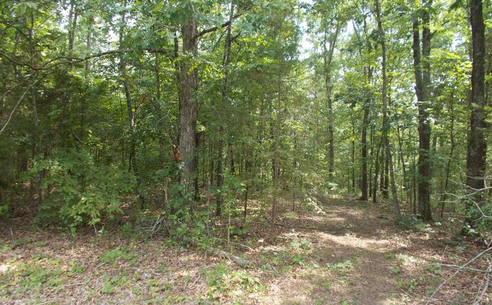Pictures of Land property located at 0 Cypress Ck Dr Off Sales Landing Rd, Camden, TN 38320 for sales - image #1
