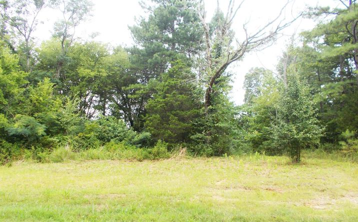 Pictures of Land, Multifamily property located at 0 Sand Pit Loop, Camden, TN 38320 for sales - image #1