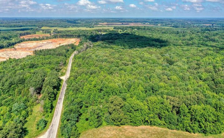 Pictures of Land, Special Purpose property located at 501 Seminary Road, McKenzie, TN 38201 for sales - image #1
