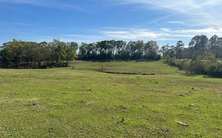 Pictures of Land property located at S Main St, Brundidge, AL 36010 for sales - image #1