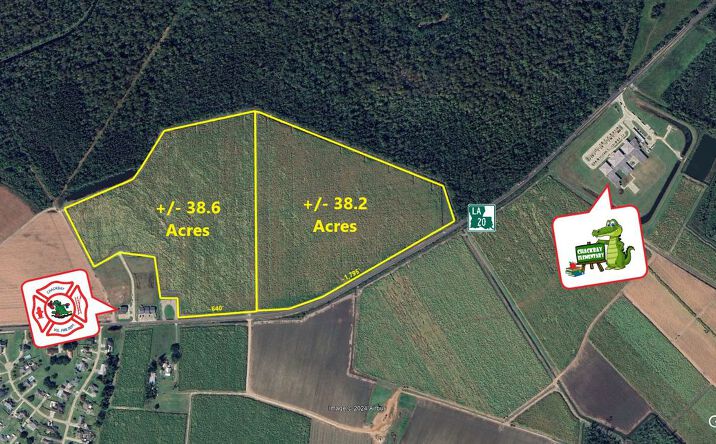 Pictures of Land property located at 351 LA-20, Thibodaux, LA 70301 for sales - image #1