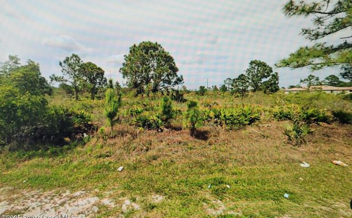 Pictures of Land property located at 2812 42nd Street W, Lehigh Acres, FL 33971 for sales - image #1