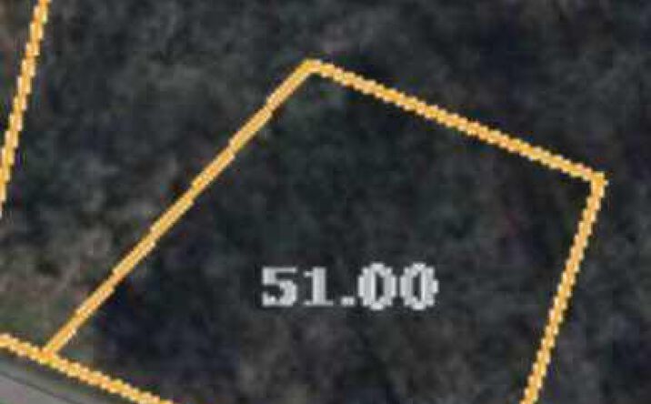 Pictures of Land property located at 0 Old Lavinia Road, Cedar Grove, TN 38321 for sales - image #1