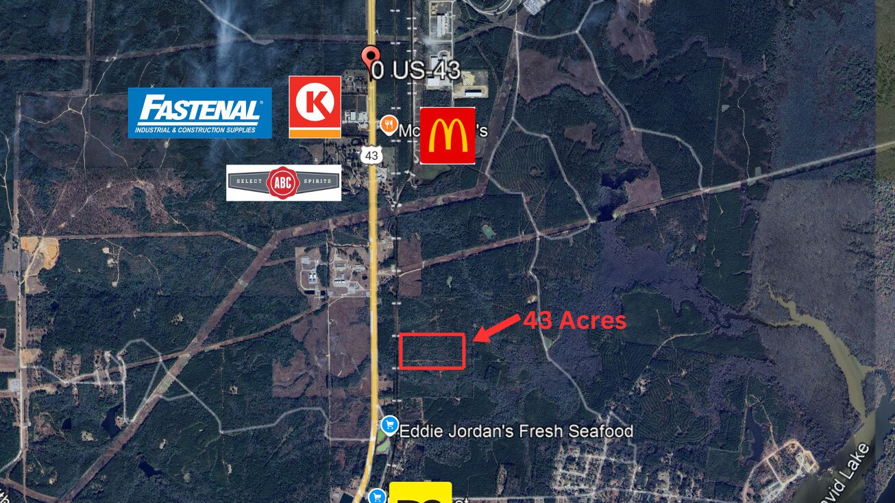Pictures of Land property located at US-43 N., Mount Vernon, AL 36560 for sales - image #1