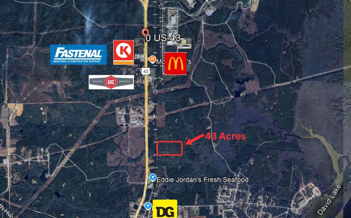 Pictures of Land property located at US-43 N., Mount Vernon, AL 36560 for sales - image #1