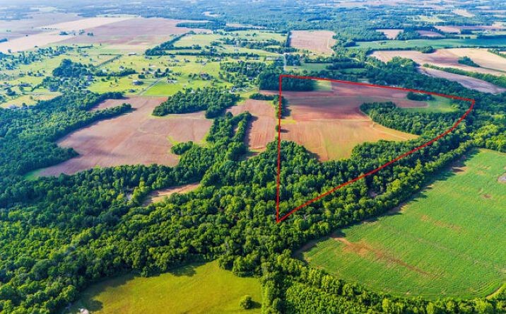 Pictures of Land property located at New market rd/ beth rd rd, Huntsville, AL 35802 for sales - image #1
