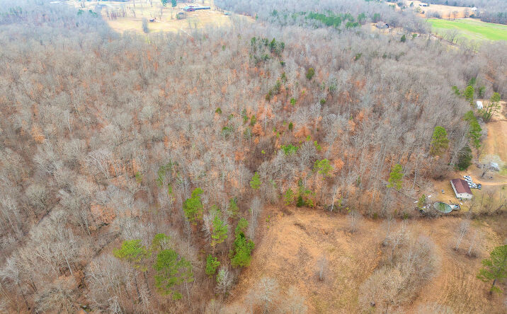 Pictures of Land property located at 0 Sulphur Spring Road, Parsons, TN 38363 for sales - image #1
