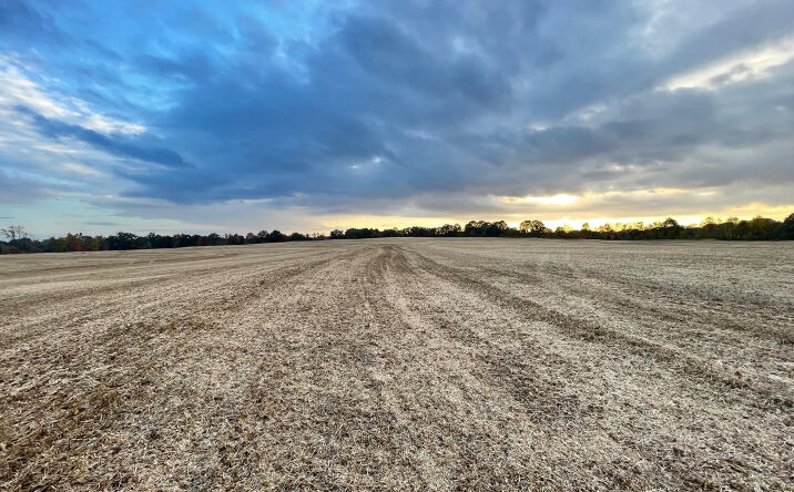 Pictures of Land, Multifamily, Retail property located at 00 Hwy 76 & Anderson Ave, Brownsville, TN 38012 for sales - image #1