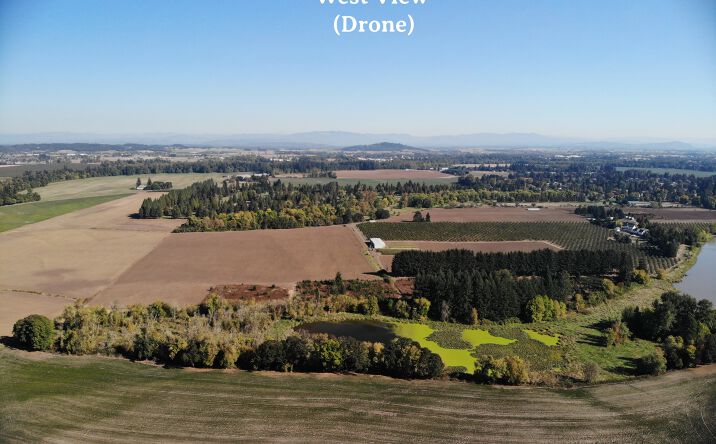 Pictures of Land property located at Next to 2646 NW Broadway Ave, Albany, OR, Albany, OR 97321 for sales - image #1