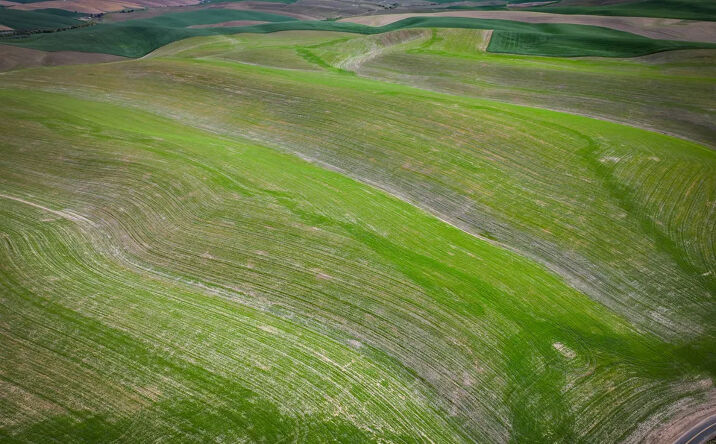 Pictures of Land property located at 2818 Waggoner Rd, Walla Walla, WA 99362 for sales - image #1