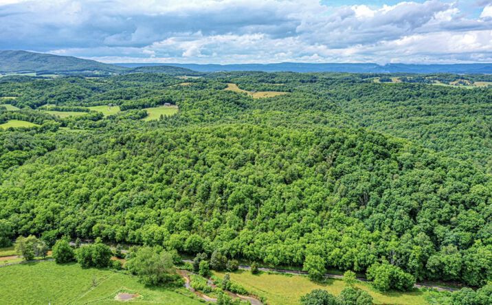 Pictures of Land property located at 4662 Cedar Springs Rd, Rural Retreat, VA 24368 for sales - image #1