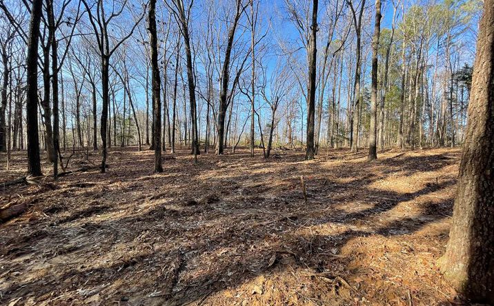 Pictures of Land property located at 0 Highway 114 N, Hollow Rock, TN 38342 for sales - image #1