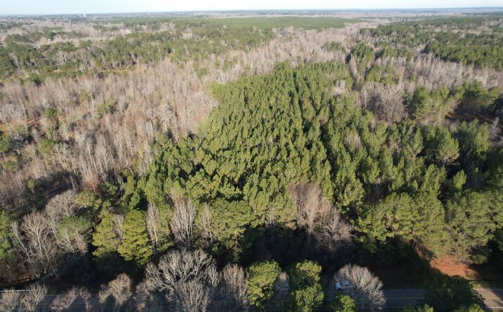 Pictures of Land property located at Robinson Road, Canton, MS 39039 for sales - image #1
