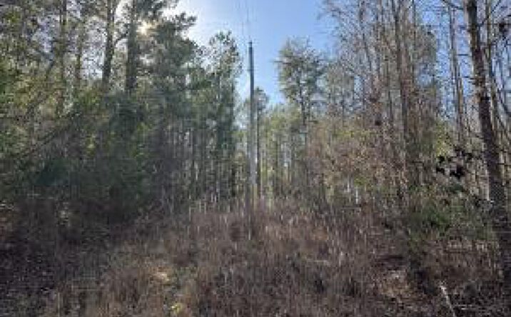 Pictures of Land property located at 0 Asa Hall Road, Abbeville, SC 29620 for sales - image #1